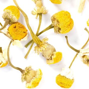 Chamomile