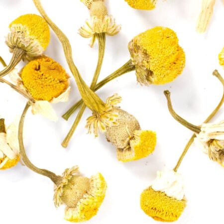 Chamomile