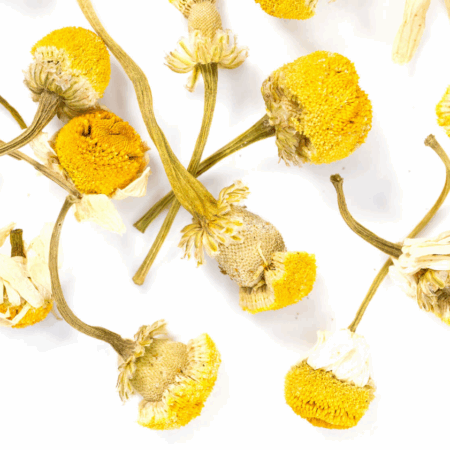 Chamomile