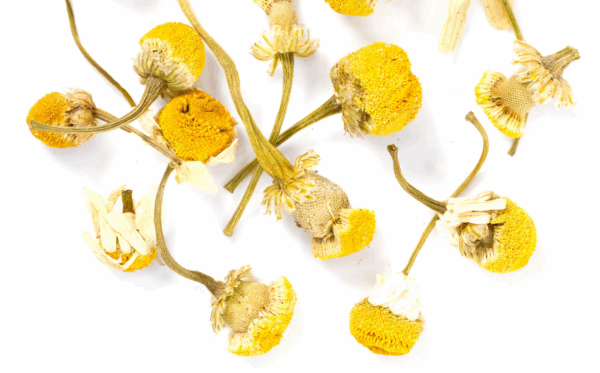 Chamomile