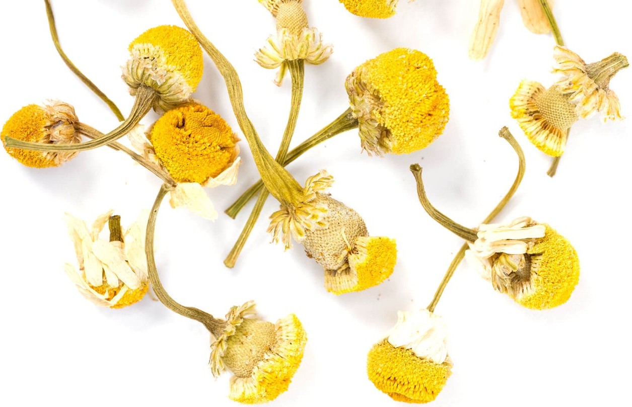 Chamomile