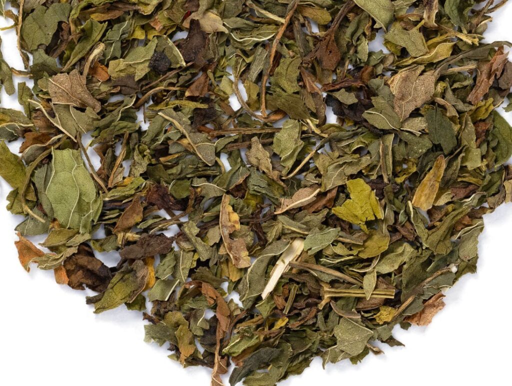 Spearmint