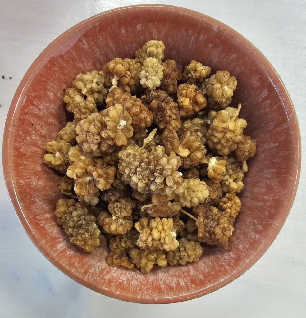 White Mulberries
