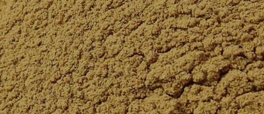 Bitter Melon Powder