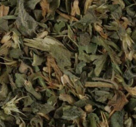 Catnip Leaf & Flower