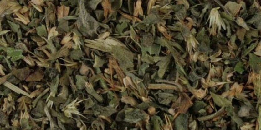 Catnip Leaf & Flower