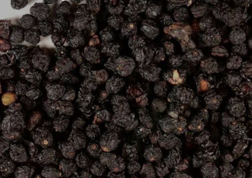 Wild Crafted Elderberry
