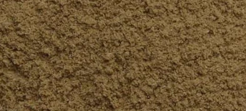 Bacopa Monnieri Powder