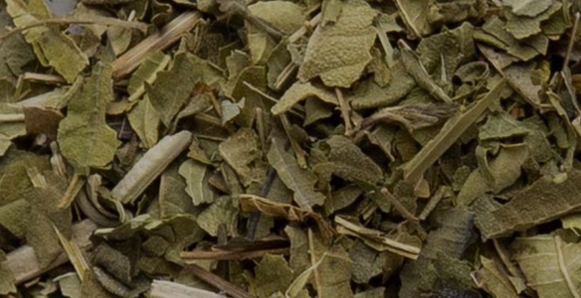 Lemon verbena