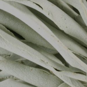 White Sage - Whole