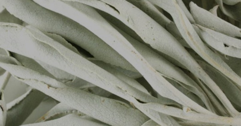 White Sage – Whole