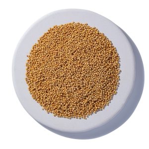Yellow Mustard Seed