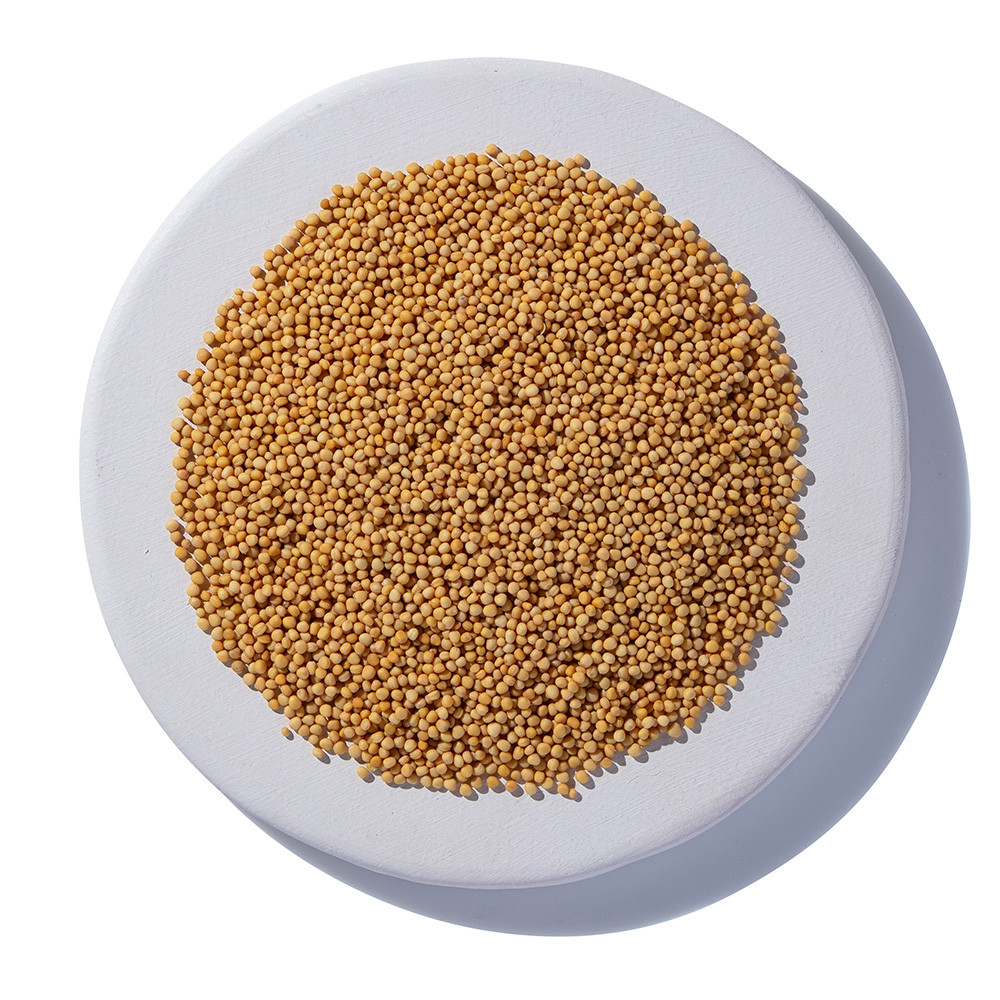 Yellow Mustard Seed