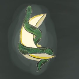Serpent Moon Designs